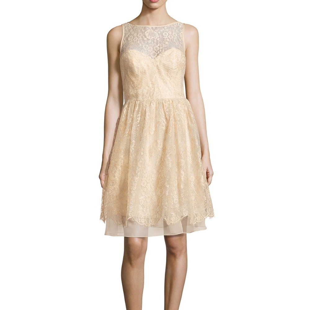 Theia Size 6 Sleeveless Illusion Neck Hem Lace Dress